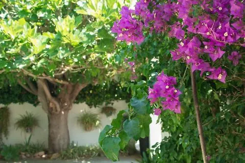 Hostal Esfigueral Playa DPlaya Des Figueral 0*,  Spanien